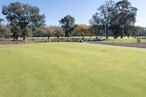 tooleybuc golf course
